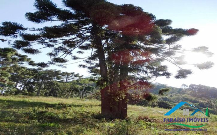 Imagem Terreno em Condomínio à Venda, 1.158 m² em Centro - Gonçalves Imagem Terreno em Condomínio à Venda, 1.158 m² em Centro - Gonçalves
