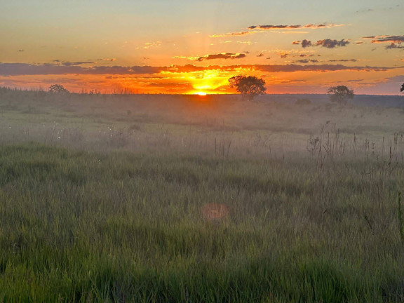 Fazenda à Venda, 4 m² em Barra Do Garças