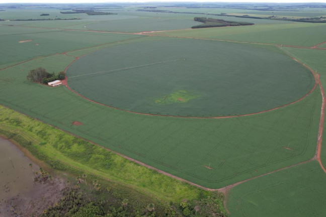 Imagem Fazenda à Venda, 17 m² em Zona Rural - Acreúna Imagem Fazenda à Venda, 17 m² em Zona Rural - Acreúna