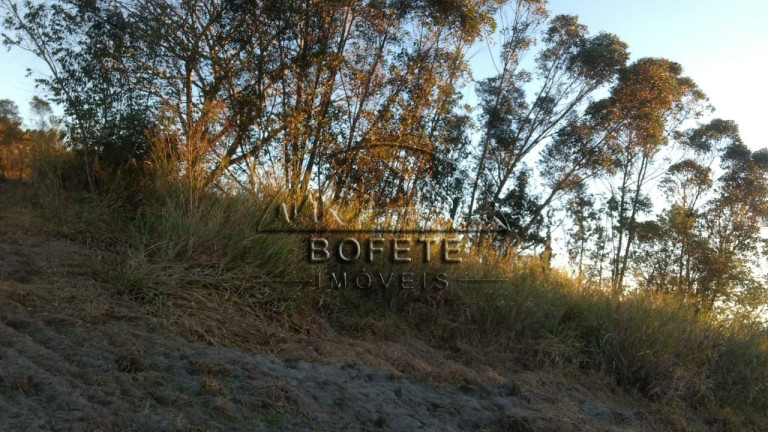 Imagem Imóvel à Venda, 10.800 m² em Catarina - Bofete Imagem Imóvel à Venda, 10.800 m² em Catarina - Bofete