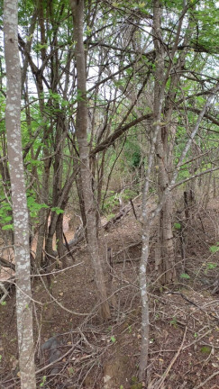 Imagem Chácara à Venda, 47 m² em Montes Claros Imagem Chácara à Venda, 47 m² em Montes Claros
