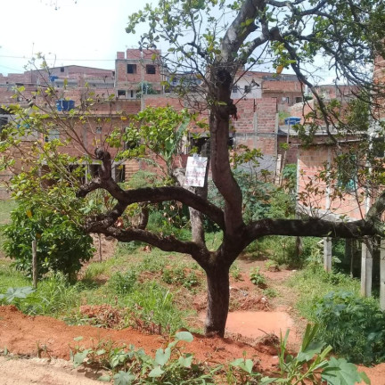 Imagem Terreno à Venda, 200 m² em Alto Do Parque