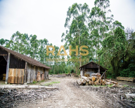 Imagem Terreno à Venda, 100.511 m² em Pirabeiraba (pirabeiraba) - Joinville Imagem Terreno à Venda, 100.511 m² em Pirabeiraba (pirabeiraba) - Joinville