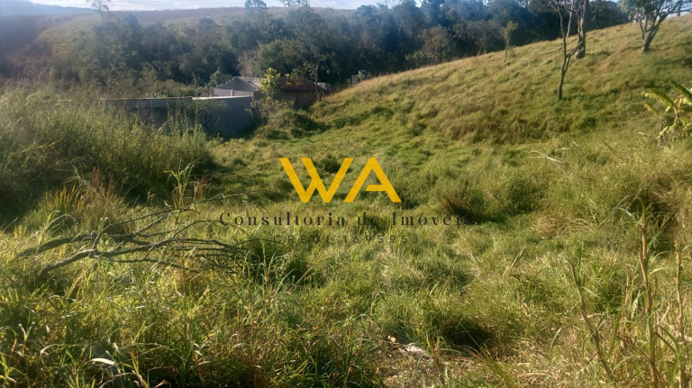 Imagem Terreno à Venda, 5.300 m² em Vila Nova Aparecida - Mogi Das Cruzes