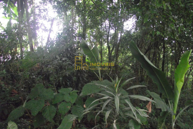 Imagem Terreno à Venda, 2.358 m² em Parque Alvorada - Santana De Parnaíba Imagem Terreno à Venda, 2.358 m² em Parque Alvorada - Santana De Parnaíba