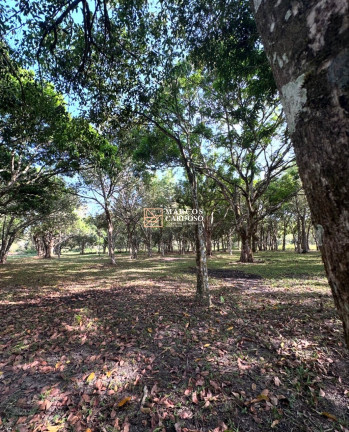 Imagem Terreno à Venda, 420 m² em Imperador - Castanhal Imagem Terreno à Venda, 420 m² em Imperador - Castanhal