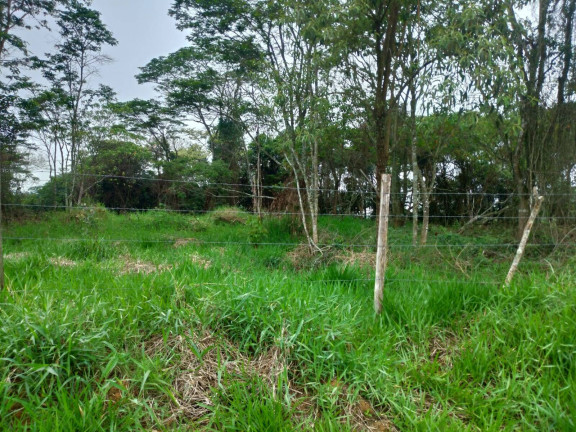 Imagem Terreno à Venda, em Ipiabas - Barra Do Piraí Imagem Terreno à Venda, em Ipiabas - Barra Do Piraí