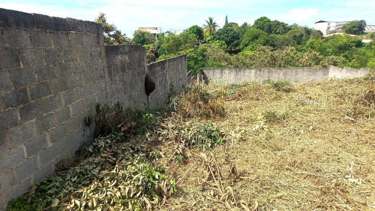 Imagem Terreno à Venda, 416 m² em Morro Da Lagoa - Vila Velha Imagem Terreno à Venda, 416 m² em Morro Da Lagoa - Vila Velha