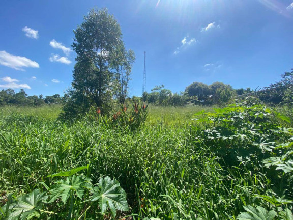 Imagem Terreno à Venda, 380 m² em Centro - Mairiporã Imagem Terreno à Venda, 380 m² em Centro - Mairiporã