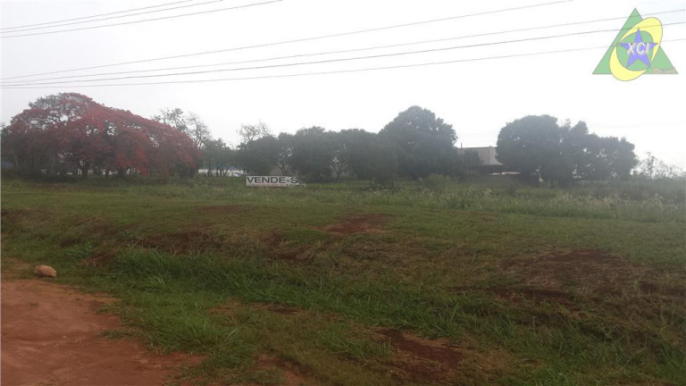Imagem Imóvel à Venda ou Locação, 58.600 m² em Betel - Paulínia Imagem Imóvel à Venda ou Locação, 58.600 m² em Betel - Paulínia