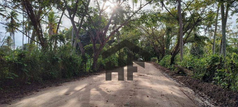 Imagem Terreno à Venda, 1.250 m² em Cruz Do Rebouças - Igarassu Imagem Terreno à Venda, 1.250 m² em Cruz Do Rebouças - Igarassu