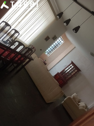 Imagem Sobrado com 3 Quartos à Venda, 221 m² em Jardim Bandeirantes - Sorocaba Imagem Sobrado com 3 Quartos à Venda, 221 m² em Jardim Bandeirantes - Sorocaba