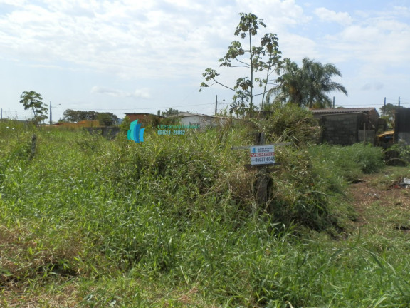 Imagem Terreno à Venda, 250 m² em Centro - Ilha Comprida