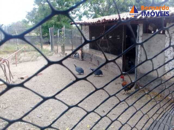 Imagem Fazenda à Venda, 443 m² em Guanaces - Cascavel Imagem Fazenda à Venda, 443 m² em Guanaces - Cascavel