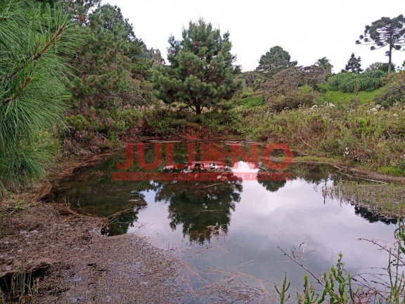 Imagem Chácara à Venda, 24.000 m² em Campo Alegre Imagem Chácara à Venda, 24.000 m² em Campo Alegre