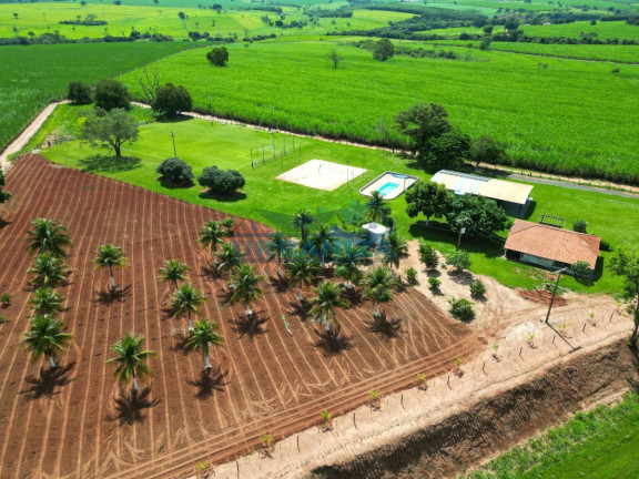 Imagem Chácara à Venda, 20.000 m² em Buritama - Buritama Imagem Chácara à Venda, 20.000 m² em Buritama - Buritama