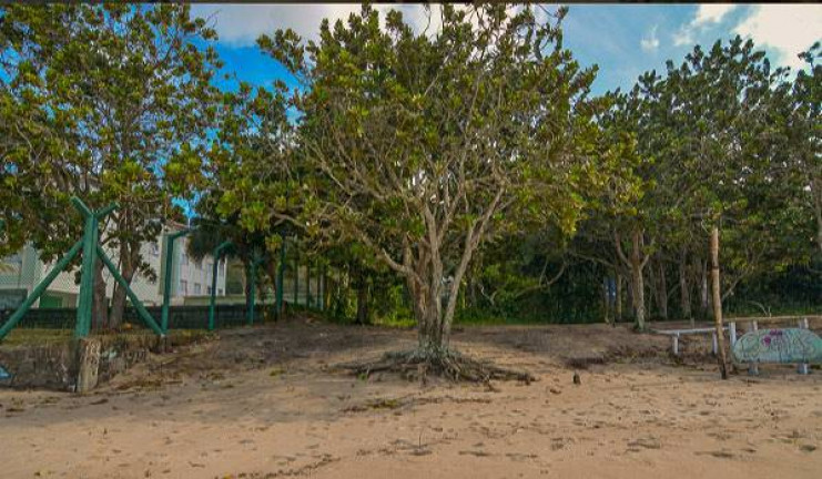 Imagem Terreno à Venda, 721 m² em Praia Vermelha Do Centro - Ubatuba Imagem Terreno à Venda, 721 m² em Praia Vermelha Do Centro - Ubatuba
