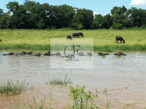 Imagem Fazenda à Venda, 297 m² em Rural - Santana Do Itararé Imagem Fazenda à Venda, 297 m² em Rural - Santana Do Itararé