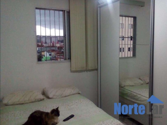 Imagem Apartamento com 2 Quartos à Venda, 58 m² em Piqueri - São Paulo