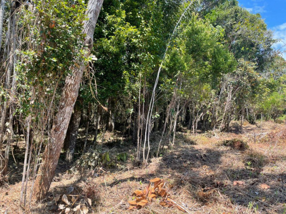 Imagem Terreno à Venda, 1.000 m² em Algodões - Marau Imagem Terreno à Venda, 1.000 m² em Algodões - Marau