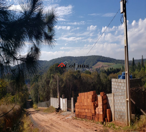 Imagem Terreno à Venda, 2.500 m² em Depois Do Centro - Ibiúna Imagem Terreno à Venda, 2.500 m² em Depois Do Centro - Ibiúna