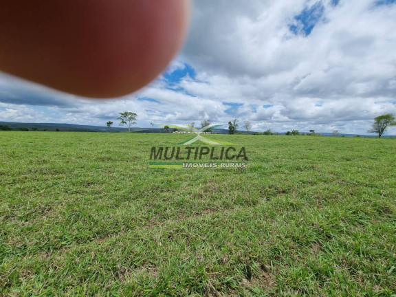 Imagem Fazenda à Venda, 6.098 m² em Uberlândia Imagem Fazenda à Venda, 6.098 m² em Uberlândia