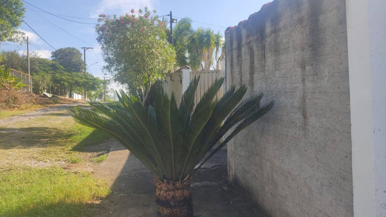 Imagem Chácara com 3 Quartos à Venda, 1.020 m² em Trevo Da Entrada Do Cercado - Araçoiaba Da Serra Imagem Chácara com 3 Quartos à Venda, 1.020 m² em Trevo Da Entrada Do Cercado - Araçoiaba Da Serra