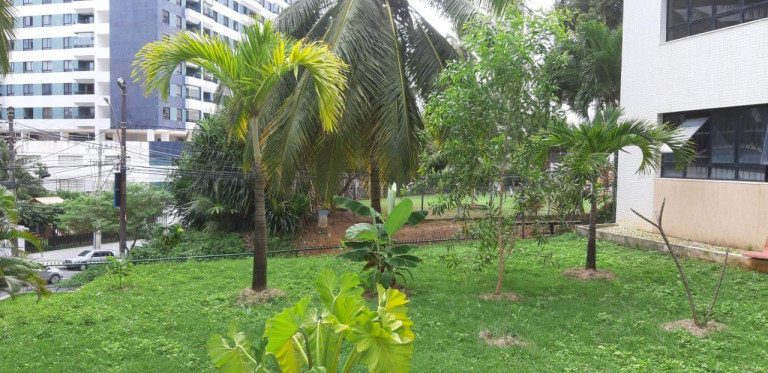 Imagem Apartamento com 3 Quartos à Venda, 143 m² em Pituba - Salvador