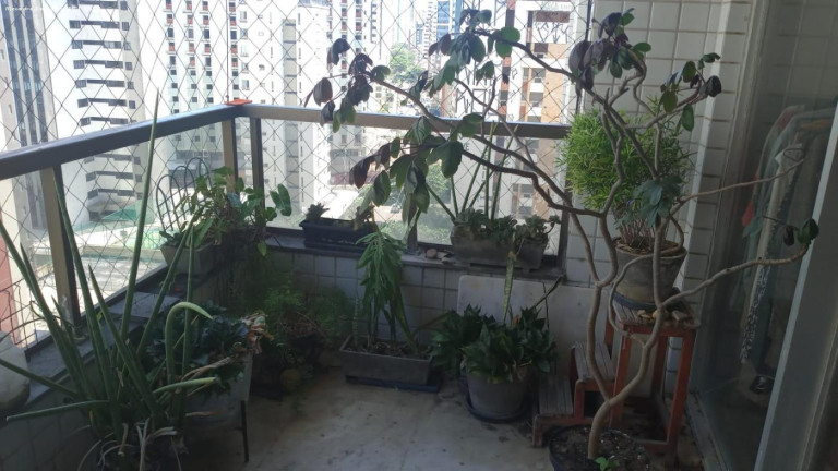 Imagem Apartamento com 4 Quartos à Venda, 189 m² em Boa Viagem - Recife