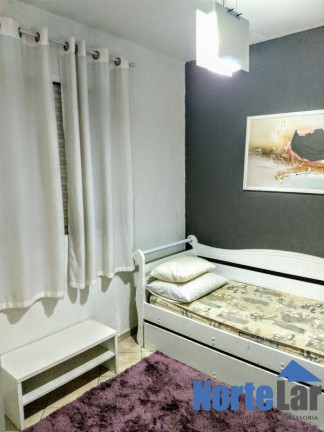 Imagem Apartamento com 3 Quartos à Venda, 63 m² em Vila Palmeiras - São Paulo