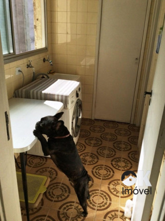 Imagem Apartamento com 2 Quartos à Venda, 78 m² em Perdizes - São Paulo Imagem Apartamento com 2 Quartos à Venda, 78 m² em Perdizes - São Paulo
