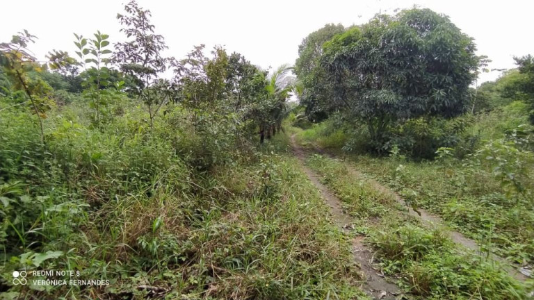 Imagem Terreno à Venda, 5.000 m² em Aldeia Dos Camarás - Camaragibe Imagem Terreno à Venda, 5.000 m² em Aldeia Dos Camarás - Camaragibe