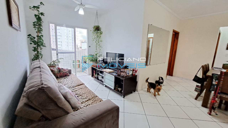 Imagem Apartamento com 2 Quartos à Venda, 65 m² em Guilhermina - Praia Grande