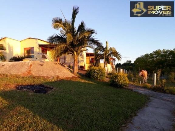 Imagem Imóvel com 3 Quartos à Venda, 30.000 m² em Zona Rural - Pelotas Imagem Imóvel com 3 Quartos à Venda, 30.000 m² em Zona Rural - Pelotas