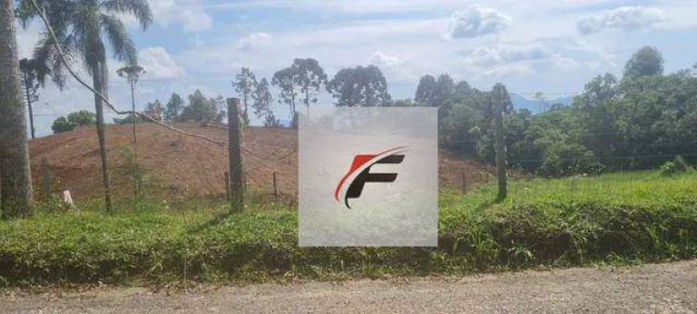 Imagem Chácara com 4 Quartos à Venda, 145.200 m² em Palmitalzinho - Quatro Barras