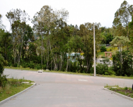 Imagem Imóvel à Venda, 370 m² em Linha Imperial - Nova Petrópolis