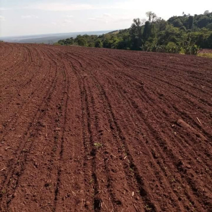 Imagem Chácara à Venda, 24 m² em Rural - Itatinga Imagem Chácara à Venda, 24 m² em Rural - Itatinga