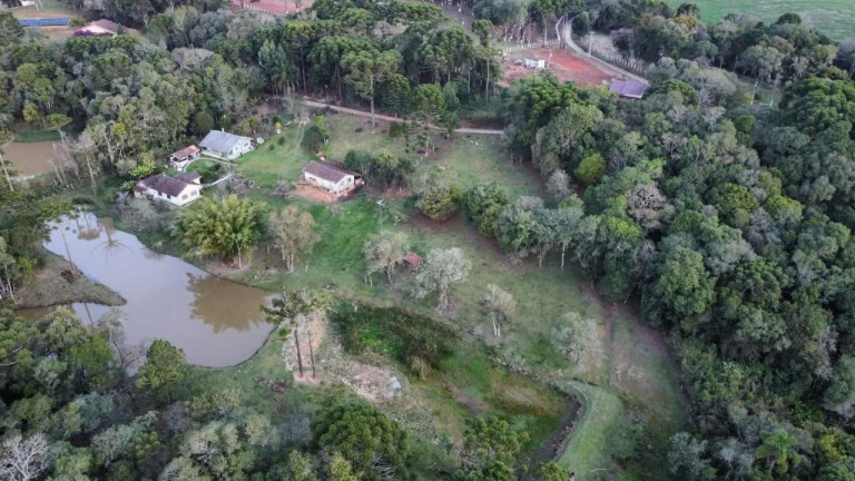 Imagem Imóvel com 5 Quartos à Venda, 48.000 m² em São João Do Caiva - Lapa Imagem Imóvel com 5 Quartos à Venda, 48.000 m² em São João Do Caiva - Lapa