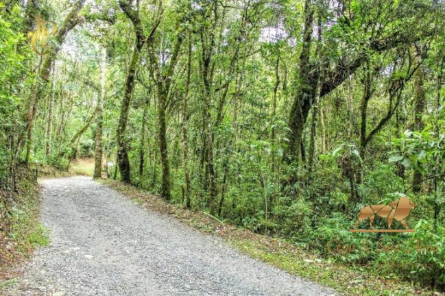Imagem Terreno à Venda, 1.000 m² em Alto Do Capivari - Campos Do Jordão Imagem Terreno à Venda, 1.000 m² em Alto Do Capivari - Campos Do Jordão