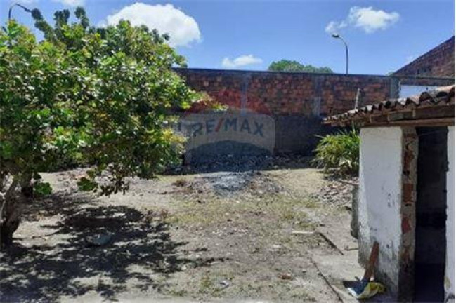 Imagem Casa com 4 Quartos à Venda, 330 m² em Centro - João Pessoa Imagem Casa com 4 Quartos à Venda, 330 m² em Centro - João Pessoa