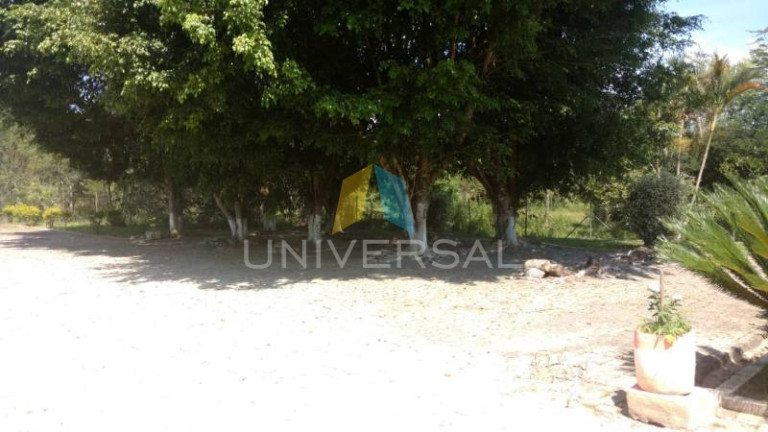 Imagem Imóvel com 4 Quartos à Venda, 1.000 m² em Varadouro - Santa Isabel