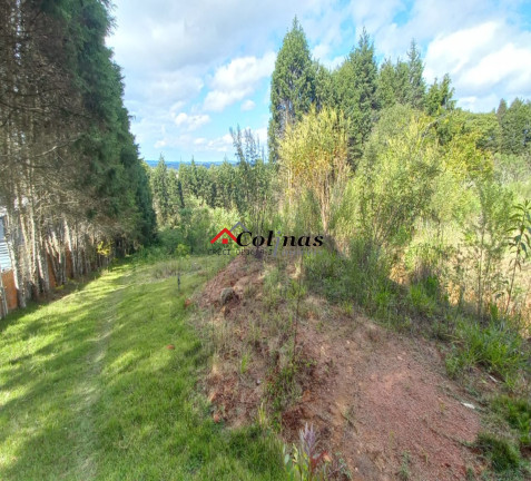 Imagem Imóvel com 2 Quartos à Venda, 1.700 m² em Depois Do Centro - Ibiúna Imagem Imóvel com 2 Quartos à Venda, 1.700 m² em Depois Do Centro - Ibiúna