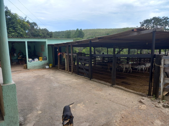 Imóvel com 5 Quartos à Venda, 10 m² em área Rural De Luziânia - Luziânia