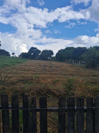 Imagem Fazenda à Venda, 1.500 m² em Parque Santa Julieta - Santa Cruz Da Conceição Imagem Fazenda à Venda, 1.500 m² em Parque Santa Julieta - Santa Cruz Da Conceição