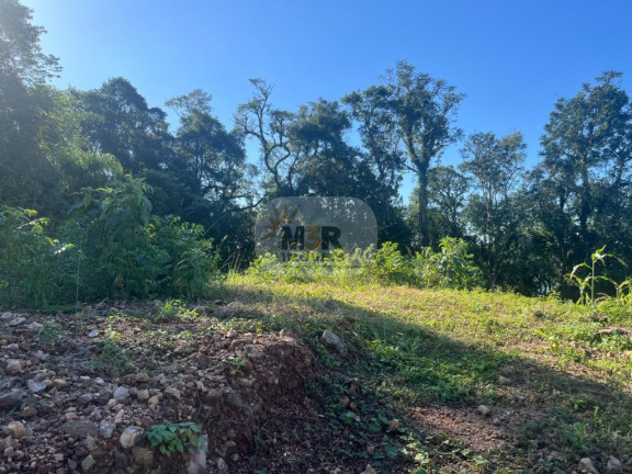 Terreno à Venda, 360 m² em Linha Olinda - Nova Petrópolis