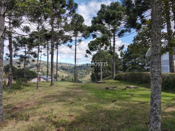 Imagem Terreno à Venda, 2.420 m² em Região De Descansópolis - Campos Do Jordão Imagem Terreno à Venda, 2.420 m² em Região De Descansópolis - Campos Do Jordão