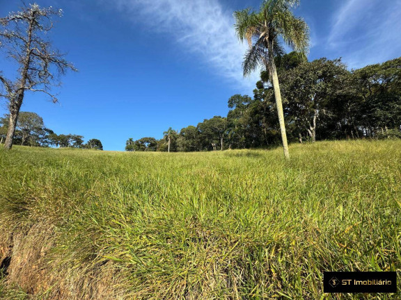 Imagem Terreno à Venda, 48.000 m² em Terra Preta (terra Preta) - Mairiporã