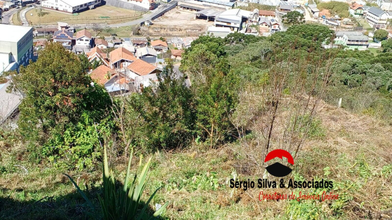 Imagem Terreno à Venda, 476 m² em Campos Do Jordão Imagem Terreno à Venda, 476 m² em Campos Do Jordão