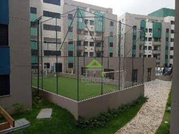 Imagem Apartamento com 2 Quartos para Alugar, 46 m² em Jardim ísis - Cotia Imagem Apartamento com 2 Quartos para Alugar, 46 m² em Jardim ísis - Cotia