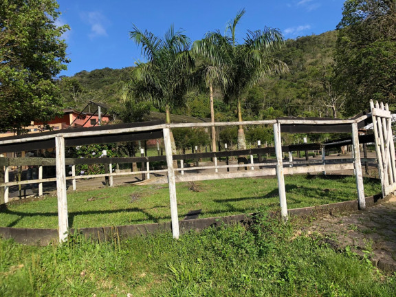 Imagem Fazenda à Venda, 300 m² em Pouso Alto - Paraibuna Imagem Fazenda à Venda, 300 m² em Pouso Alto - Paraibuna